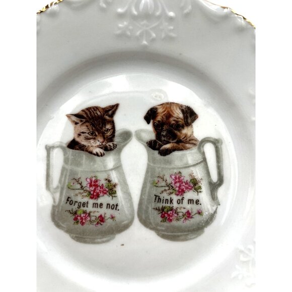 Vintage German Porcelain Plate Cat & Dog Graphic "Forget Me Not" & "Think Of Me" - Picture 1 of 5
